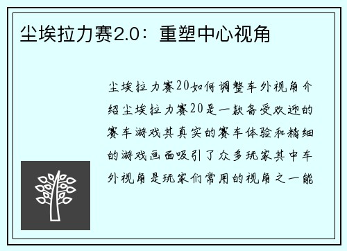 尘埃拉力赛2.0：重塑中心视角